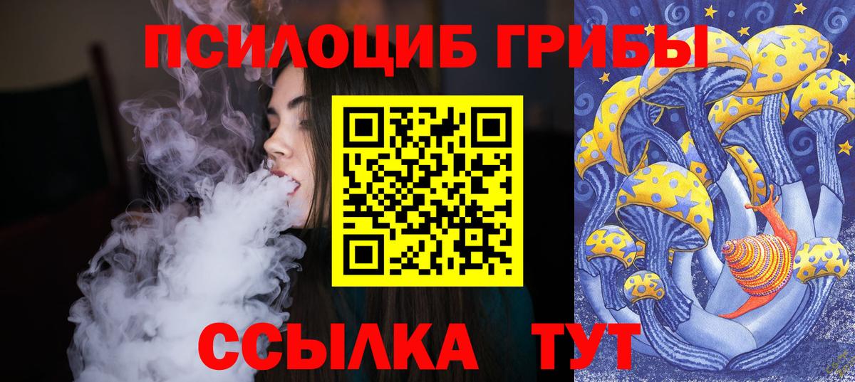 Галлюциногенные грибы MAGIC MUSHROOMS  магазин  наркотиков  Сафоново  Вход с VPN 